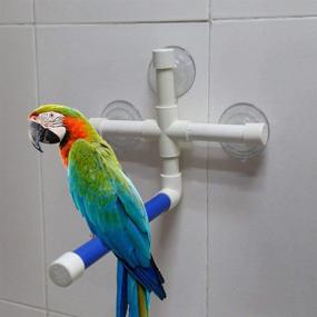 img 4 attached to 🦜 Delaman Foldable Bird Perches with Suction Cups for Window Shower Bath Wall Paw Grinding Stand Toy – Parrots Perches