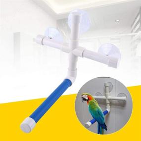 img 3 attached to 🦜 Delaman Foldable Bird Perches with Suction Cups for Window Shower Bath Wall Paw Grinding Stand Toy – Parrots Perches