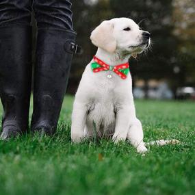 img 2 attached to 🎄 2-Pack Christmas Dog Collar Set with Adjustable Xmas Pet Collar, Double-Deck Bowtie, and Durable Plastic Safety Buckle - Snowflake Christmasy Pattern Neck Ring for Small Dog Cat, Pet Tie Accessories