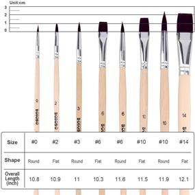 img 2 attached to 🖌️ Набор кистей для живописи BOSOBO: 8 шт. профессиональных кистей с круглой кистью для акварели, масла, акрила и других видов живописи