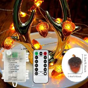 img 1 attached to 🍂 Premium BOHON LED Acorn String Lights: 10ft Battery Powered Fairy Lights with Remote for Autumn & Holiday Decor