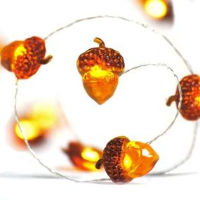 img 4 attached to 🍂 Premium BOHON LED Acorn String Lights: 10ft Battery Powered Fairy Lights with Remote for Autumn & Holiday Decor