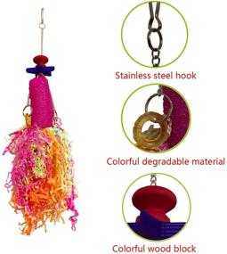 img 1 attached to 🐔 Vehomy Chicken Toys: Natural Colorful Loofah Shredder Toys for Hen - Handmade Bird Chewing and Foraging Toys - Hanging Toys for Medium Parrots (2pcs)