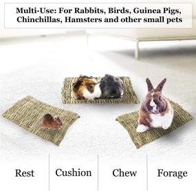 img 1 attached to 🐇 SunGrow Rabbit Seagrass Mat: Handmade Hay Mat, Natural Chew Toy for Rabbits, 11” x 7.8”, 1-Pack