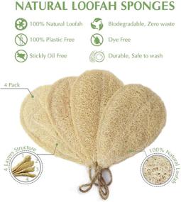 img 1 attached to 🌿 Vikra Vietnamese Loofah Dishwashing Sponges (4 Pack) - 100% Natural, Biodegradable, Eco Friendly, Reusable, Non-Scratch Scouring Pads for Effective Kitchen Cleaning