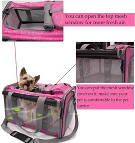 img 1 attached to Morange Airline Approved Cat and Small Dog Carrier - Collapsible Pet Carrier in Pink-Blue