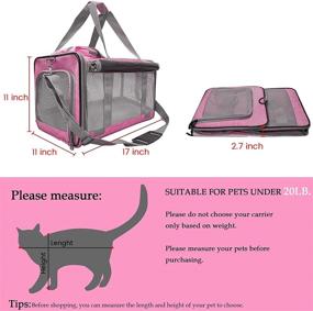 img 3 attached to Morange Airline Approved Cat and Small Dog Carrier - Collapsible Pet Carrier in Pink-Blue