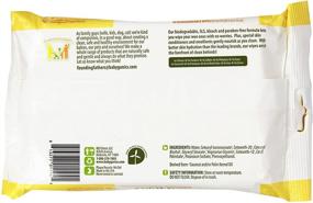 img 1 attached to Babyganics Fragrance-Free Baby Wipes 👶 - 40 Count (Packaging May Vary)