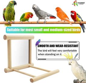 img 1 attached to 🐦 Enhance Your Bird's Cage with the Blessed Family Bird Parakeet Mirror, Parrot Perch Stand, Wooden Hummingbird Swing Toy, and More!