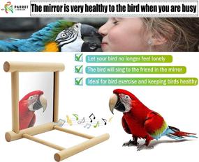 img 2 attached to 🐦 Enhance Your Bird's Cage with the Blessed Family Bird Parakeet Mirror, Parrot Perch Stand, Wooden Hummingbird Swing Toy, and More!