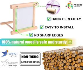 img 3 attached to 🐦 Enhance Your Bird's Cage with the Blessed Family Bird Parakeet Mirror, Parrot Perch Stand, Wooden Hummingbird Swing Toy, and More!