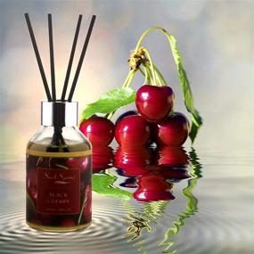 img 3 attached to 100ml/3.38oz Black Cherry Reed Diffuser - Seed Spring Scented Oil Diffuser with 6 Rattan Sticks for Home & Office Fragrance Gift