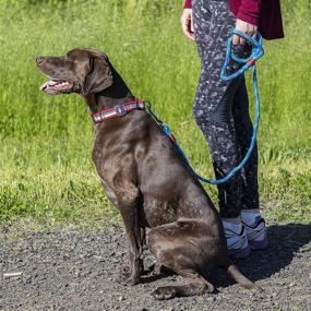 img 1 attached to 🐾 Kurgo Active Dog Collar, Adjustable Limited Slip Martingale Style Collar with Reflective Trim in Chili Red