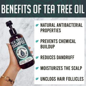 img 2 attached to Набор шампуня и кондиционера Naturala Tea Tree: Сульфатовое решение без сульфата для сухих волос и кожи головы - Чистое масло чайного дерева для женщин и мужчин