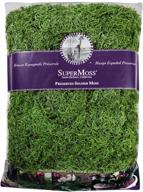 🌿 super moss preserved spanish moss bag - green, 32oz logo