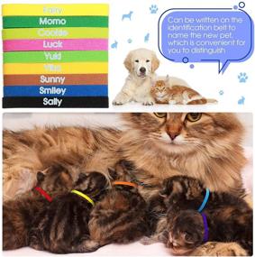 img 1 attached to Premium 60-Piece Puppy ID Tag Collar Set - 20 Vibrant Colors - Soft, Adjustable Whelping Litter Collars for Newborn Pets - Double-Sided Fabric Bands - Ideal for Dogs and Cats