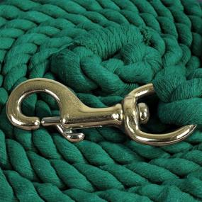 img 1 attached to 🐴 Premium 10-Foot Heavy Duty Cotton Lead Rope with Brass Snap - Intrepid International