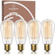 vintage incandescent edison bulb set logo