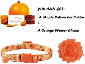 img 1 attached to 🍂 Fall Cat Collar Flower - BoomBone Pet Collar Charm for Dogs and Cats, Thanksgiving Accessories