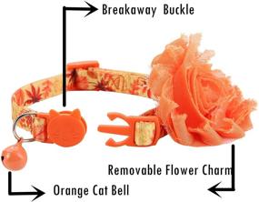 img 2 attached to 🍂 Fall Cat Collar Flower - BoomBone Pet Collar Charm for Dogs and Cats, Thanksgiving Accessories