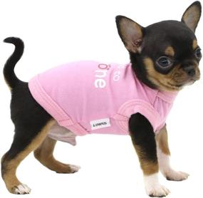 img 4 attached to 🐶 Adorable LOPHIPETS Dog Letter Print Shirts: Perfect for Small Teacup Dogs, Chihuahuas, and Cats!