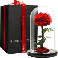 🌹 lovappy eternal enchanted forever preserved rose - infinity rose in glass dome - real fresh beauty rose - romantic female gifts - valentines day & mom gift (red, 9 inch) logo