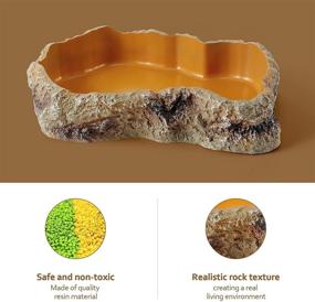 img 3 attached to 🦎 Resin Rock Worm Feeder Dish: Ideal Reptile Food & Water Bowls for Terrariums and Pet Amphibians - Perfect Decor for Lizards, Geckos, Frogs, and More!