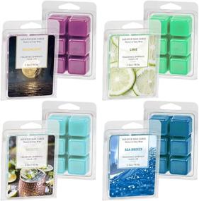 img 4 attached to 🕯️ LASENTEUR Wax Melts - Highly Fragrant Natural Soy Wax Cubes for Home Fragrance (Sea Breeze, Lime, Mojito, Moonlight) - 4x2.5oz