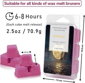 img 2 attached to 🕯️ LASENTEUR Wax Melts - Highly Fragrant Natural Soy Wax Cubes for Home Fragrance (Sea Breeze, Lime, Mojito, Moonlight) - 4x2.5oz