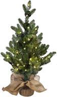 mortime 24 inch mini artificial christmas 🎄 tree: illuminated pine tree for festive home decor logo