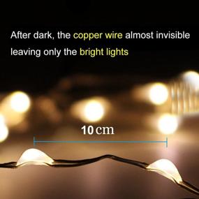 img 2 attached to 🌟 AMIR Solar Powered String Lights: Waterproof Copper Wire Starry Lights for Gardens, Patios, Homes, Parties (Warm White - Pack of 2)