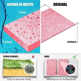 img 1 attached to 🧽 Versatile Cellulose Compressed Sponges: Gentle, Scratch-Free Cleaning for Face, Dishes, Kitchen, Bathroom, Crafts & More (6 Pack)