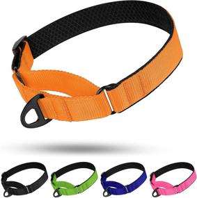 img 4 attached to 🐶 BRONZEDOG Nylon Martingale Dog Collar: Soft, Padded, Durable Training Collars for Small, Medium & Large Dogs - Puppy Black Orange Blue Green Pink