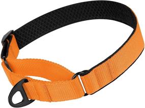 img 3 attached to 🐶 BRONZEDOG Nylon Martingale Dog Collar: Soft, Padded, Durable Training Collars for Small, Medium & Large Dogs - Puppy Black Orange Blue Green Pink