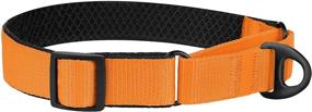 img 1 attached to 🐶 BRONZEDOG Nylon Martingale Dog Collar: Soft, Padded, Durable Training Collars for Small, Medium & Large Dogs - Puppy Black Orange Blue Green Pink