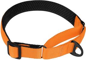 img 2 attached to 🐶 BRONZEDOG Nylon Martingale Dog Collar: Soft, Padded, Durable Training Collars for Small, Medium & Large Dogs - Puppy Black Orange Blue Green Pink