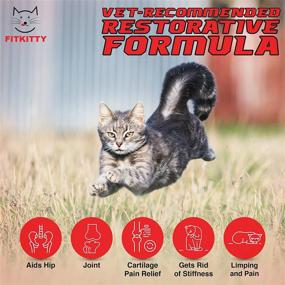 img 1 attached to 🐱 FitKitty Glucosamine for Cats: Natural Hip & Joint Liquid Supplement with Chondroitin, MSM, & Hyaluronic Acid - Enhance Flexibility, Relieve Pain & Inflammation, Combat Arthritis