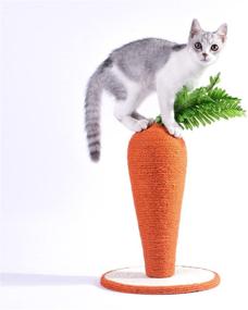 img 2 attached to 🐱 Ultimate Indoor Cat Scratchers: Mini Cat Tree, Kitten Scratching Post, Cat Posts, and More!