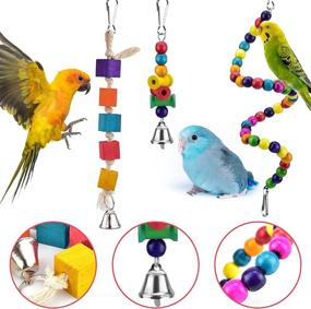 img 1 attached to 🐦 KATUMO Coconut Bird House with Colorful Ladder: Toys for Parakeet, Conure, Cockatiel & More!