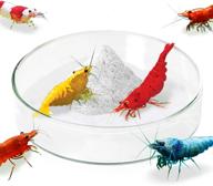 🦐 jor shrimp feed bowl: 2.5-inch wide glass basin for optimal feeding - heavy-duty, transparent & durable – 1 pc pack logo