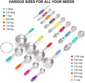 img 3 attached to 🥄 Wildone Stainless Steel Measuring Cups and Magnetic Measuring Spoons Set - 21 Piece Multicolor Bundle