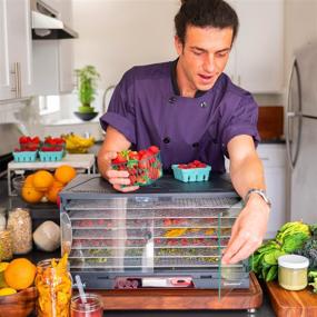 img 3 attached to 🥩 SAHARA Stainless Steel Folding Food Dehydrator with Brod & Taylor Shelves: Efficient Dehydration at Your Fingertips