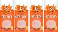 sterling teal k16001-4 k29 'blossom' stone air freshener - pack of 4: long-lasting fragrance for a fresh home logo