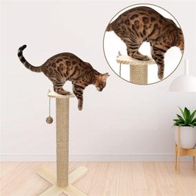 img 2 attached to 🐾 Wooden Vertical Cat Scratcher: 23" Tall Cat Scratching Post with Interactive Ball Toys for Kittens and Cats