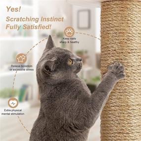 img 1 attached to 🐾 Wooden Vertical Cat Scratcher: 23" Tall Cat Scratching Post with Interactive Ball Toys for Kittens and Cats