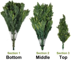 img 3 attached to Potalay Unlit Artificial Christmas Tree 4, 5, 6, 🎄 7.5 Feet - Premium Hinged Full Spruce Tree (4 FT)