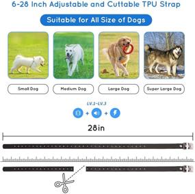 img 2 attached to In-Ground Dog and Cat Fence System: Waterproof & Rechargeable, Securing Pets in Your Yard