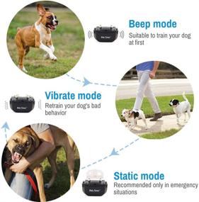 img 2 attached to 🐶 Petrainer Rechargeable and Rainproof 330 yd Remote Dog Training Collar with Beep, Vibration, and Static Stimulation - Enhanced for SEO