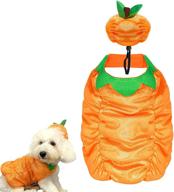 🎃 cyeollo halloween dog costume pumpkin cute puppy outfit size s - pet clothes for small dogs - halloween pet costumes collection логотип