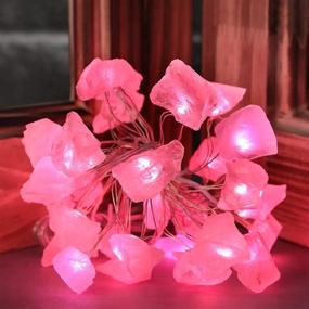 img 2 attached to Holitown Raw Fluorite Indoor String Lights, 10ft 30LEDs Crystal Stone String Lights for Mental Peace, Christmas, Party, Gift (Pink Gradual) - Battery Powered Twinkle Lights with Remote